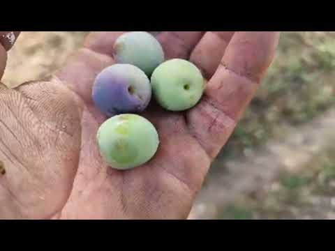 ¡Deja de Llover! ¿Por qué No Funciona Mi Pronóstico? ☔