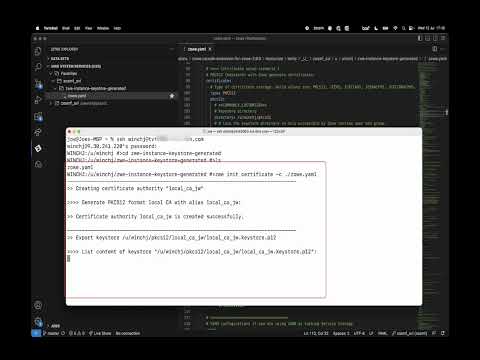 Use a PKCS12 keystore with Zowe generated certificate 2 - Run commands to generate certificates