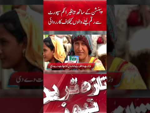 Crackdown on Fraud in Benazir Income Support π°