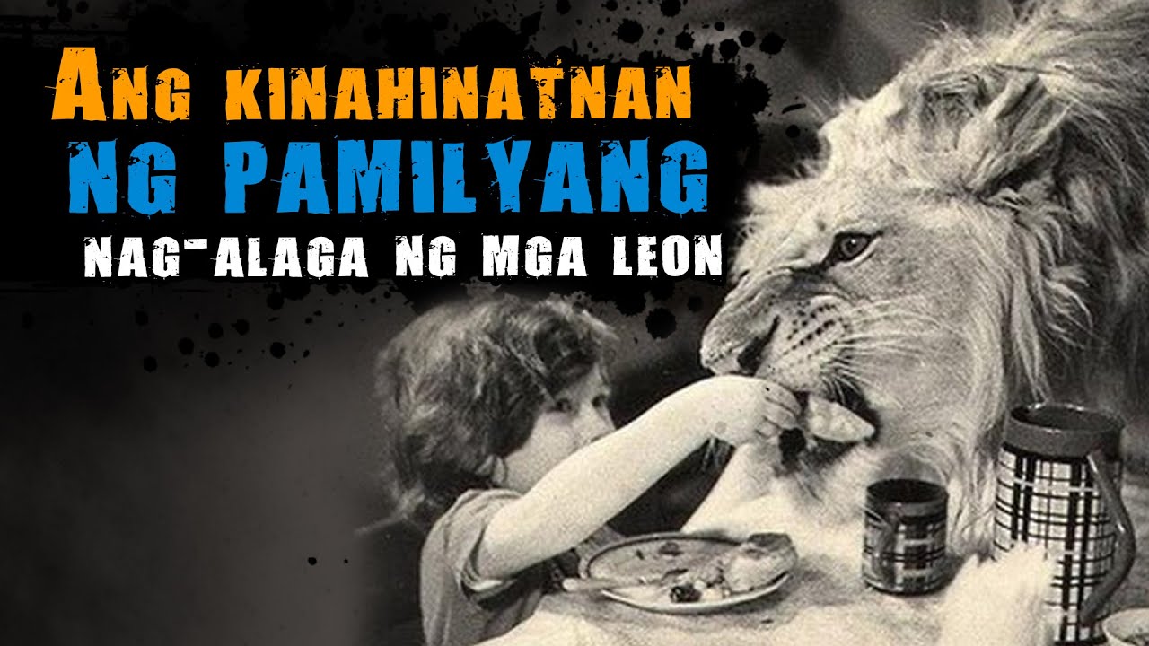 Kwento ng Pamilyang Nagalaga ng mga Leon 🦁