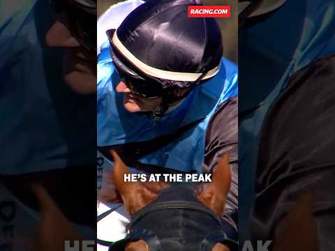 Is a cup-double on the cards for HALF YOURS and Tony & Calvin McEvoy⁉️ #melbournecup