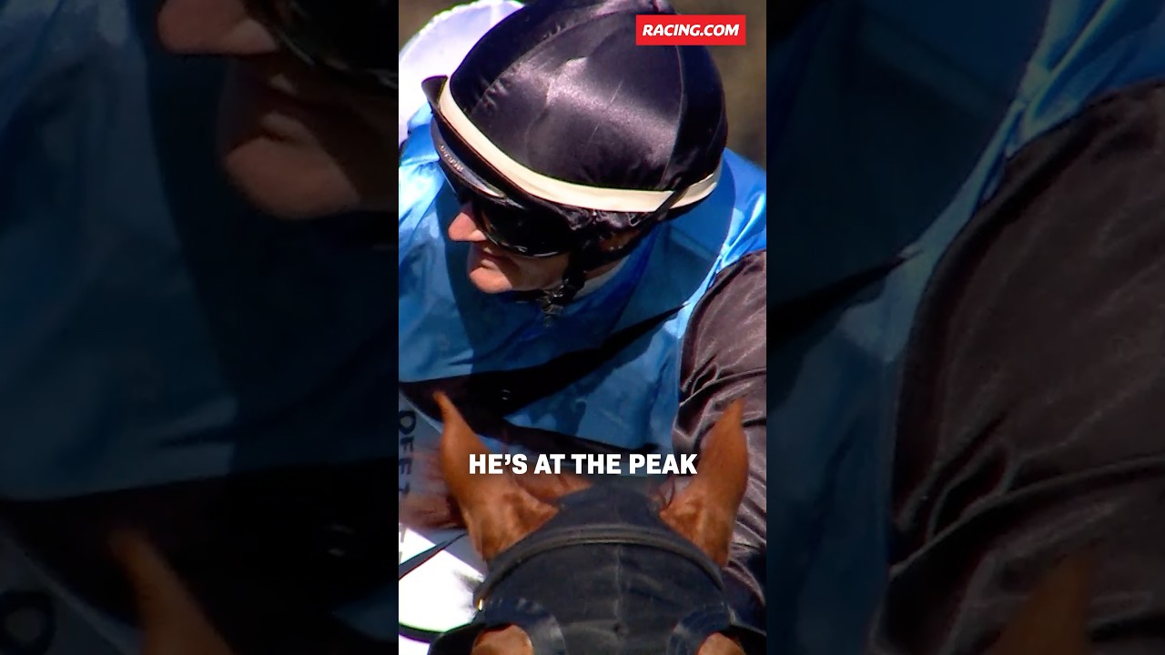 Could HALF YOURS and Tony & Calvin McEvoy Pull Off a Cup Double? ๐