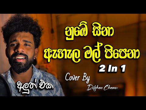 නුඹේ සිනා / ඇහැල මල් පිපෙනා | Nube sina | #dilshanchamee