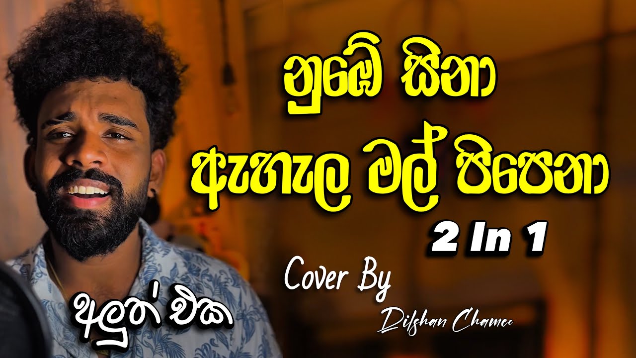 නුඹේ සිනා / ඇහැල මල් පිපෙනා 🎶 - Dilshan Chamee's Beautiful Cover