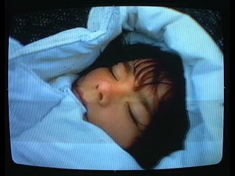 Björk's 'Jóga' from 'Homogenic' 🎶