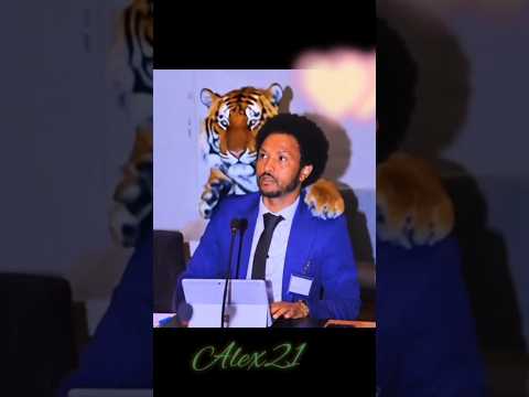 #bergednhamedu #sewrameleytv #wufuy