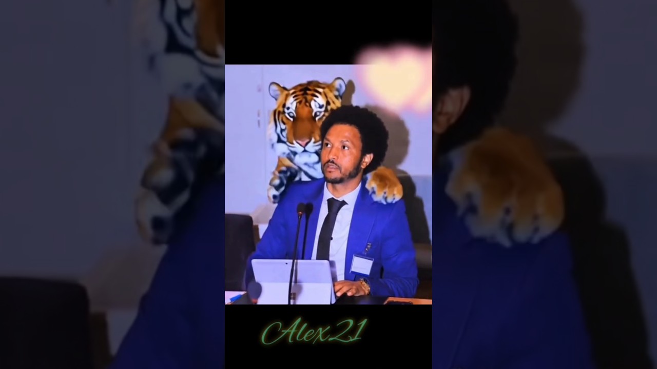 Eritrean Music & Dance Highlights 🎶