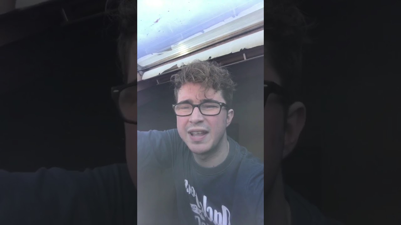 Vidéo quotidienne pour égayer votre confinement 😊