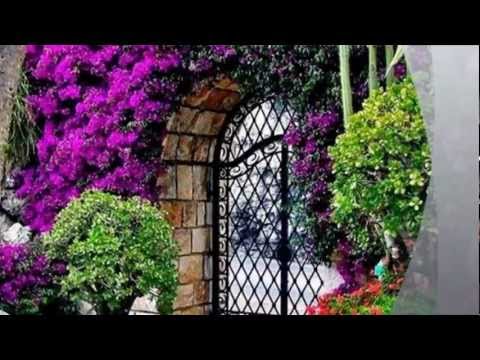 Ivo Tanev  CARUSO Иво Танев пее Карузо