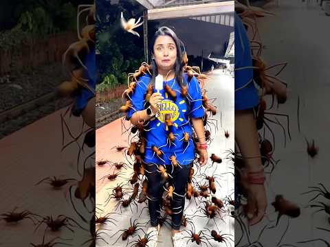 Bhutiya Spider Ice Cream🍦👹 #shorts #bhoot #bhoot_wala_cartoon #bhootwala