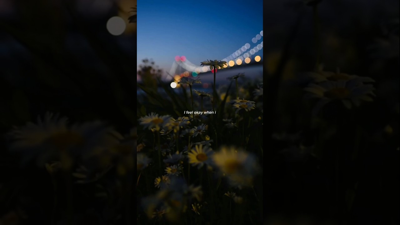 Ruth B. - Dandelions ๐ถ | Heartfelt Lyrics & Aesthetic Vibes