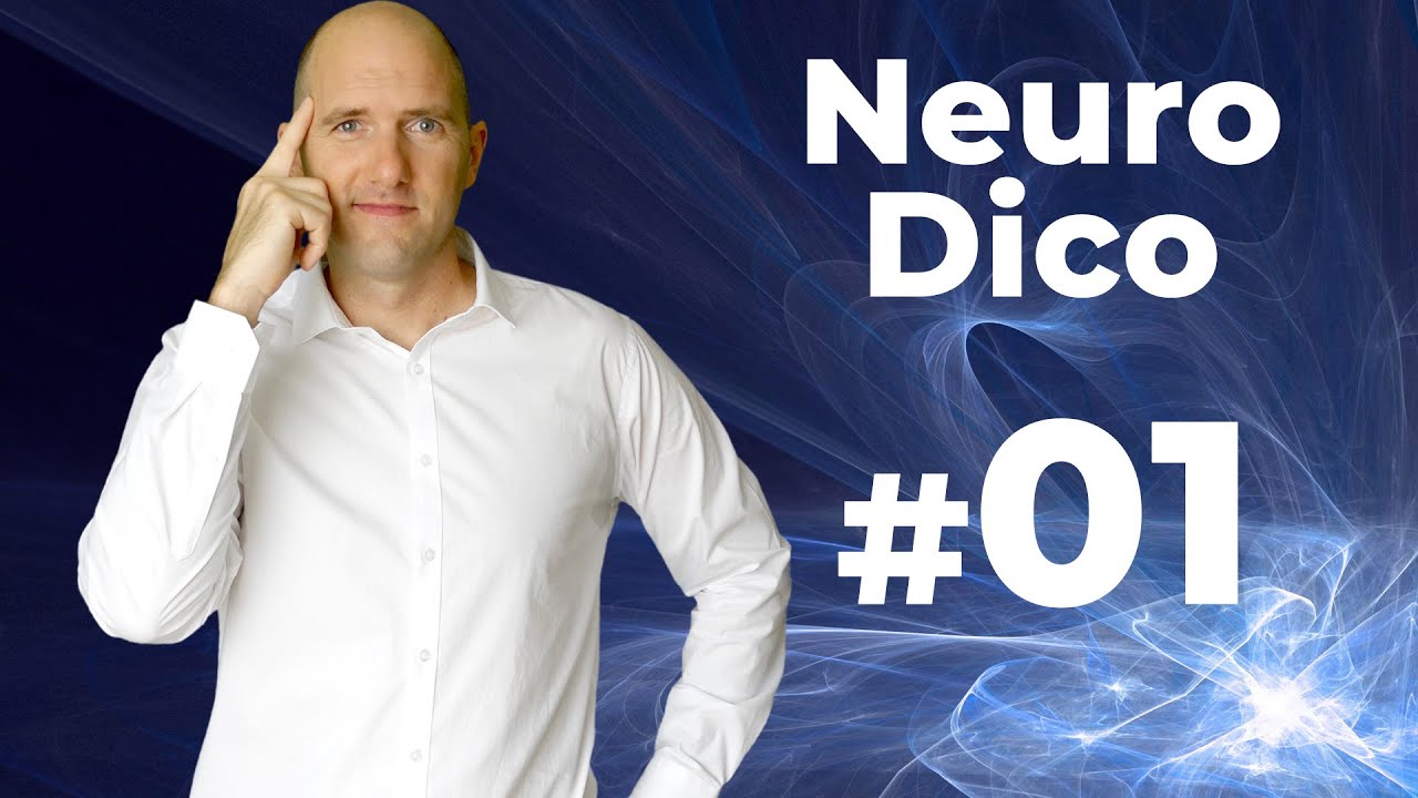 Métacognition : Contrôlez vos pensées pour réussir 💡