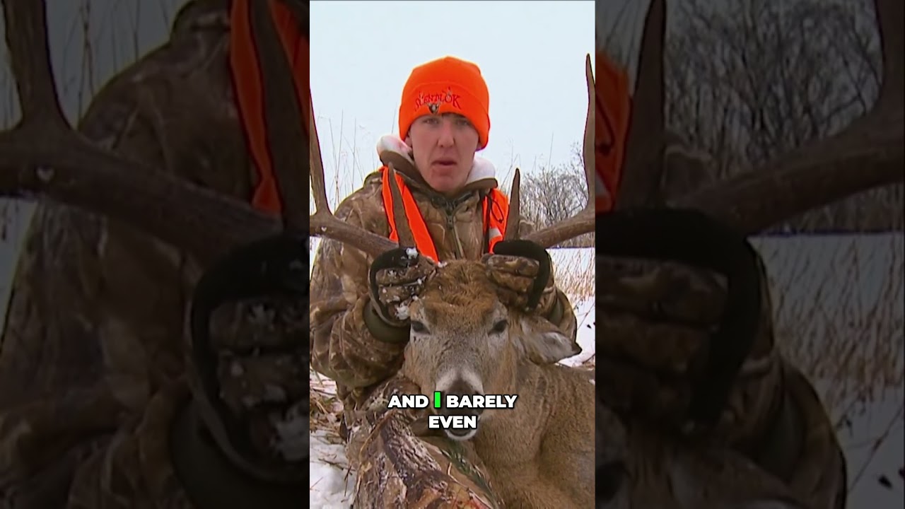 Giant Buck's Antler Falls Off During Capture 🦌