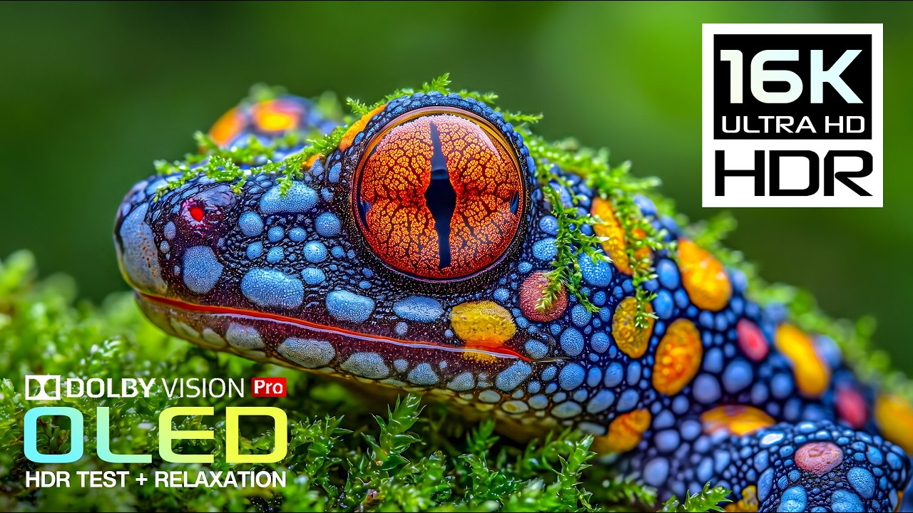 Ultimate OLED HDR 16K Nature & Animals | Dolby Vision 120FPS