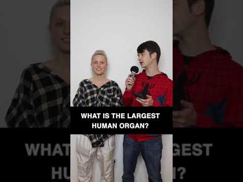 General Trivia Questions & Answers