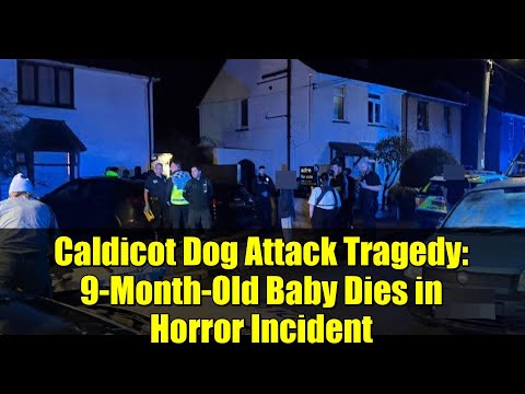 Caldicot Dog Attack Tragedy: 9-Month-Old Baby Dies in Horror Incident