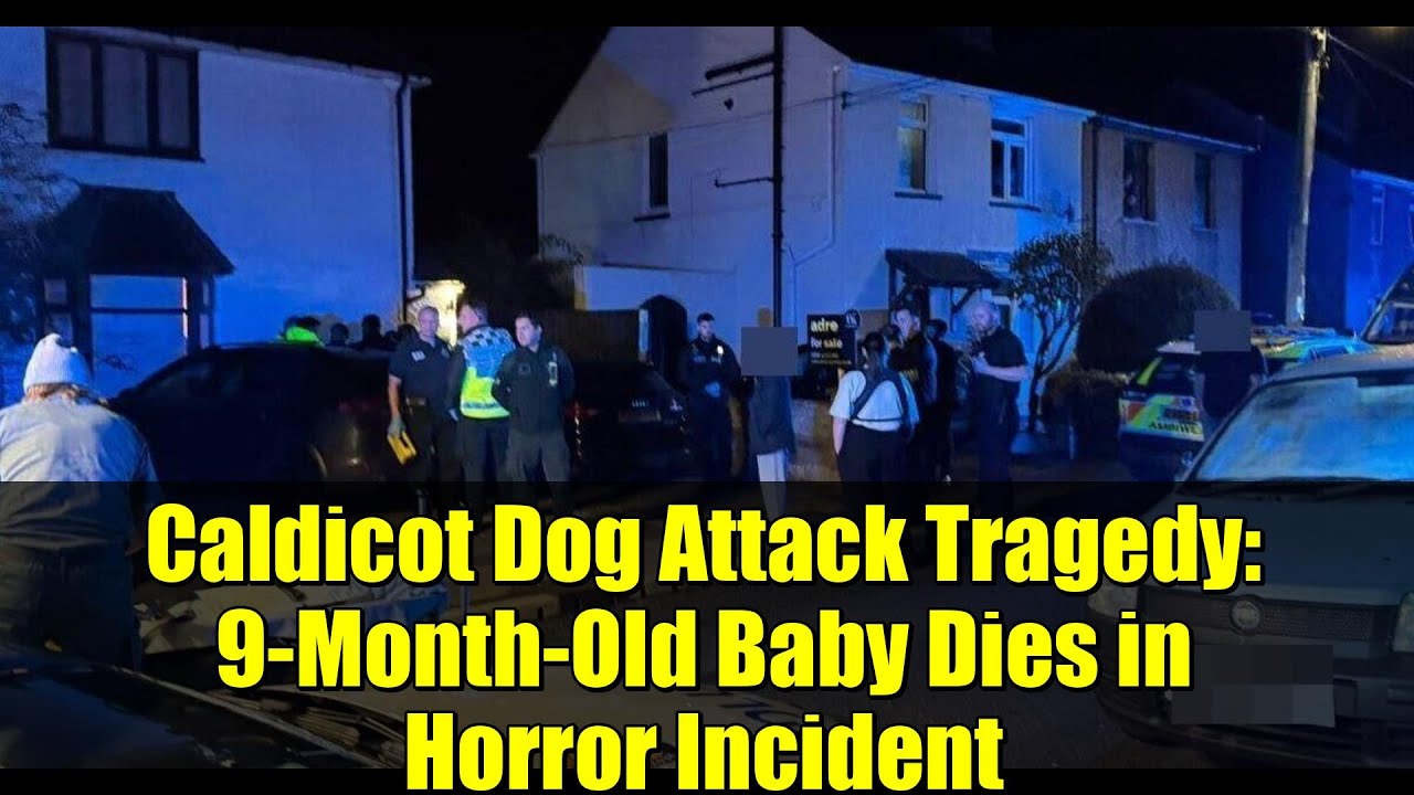 Tragic Caldicot Dog Attack: 9-Month-Old Baby Dies in Heartbreaking Incident 💔