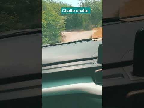 चलते chalte 🐦😥😥#evergreenhits #tseries #oldisgold #oldsong #dance #sadabaharsong