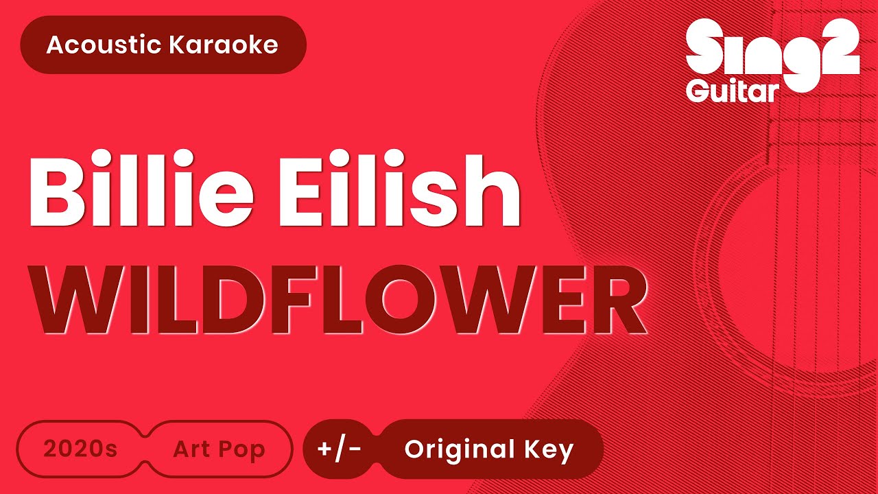 Billie Eilish - WILDFLOWER (Acoustic Karaoke) 🎤