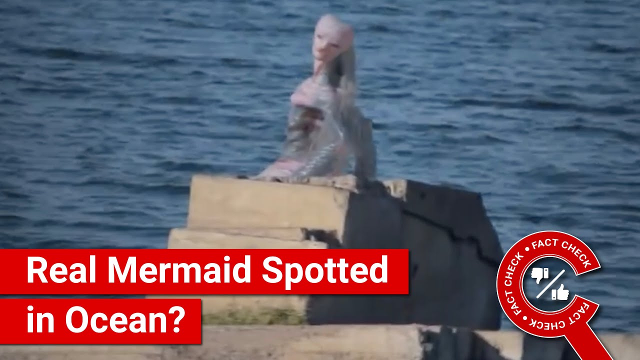 Viral Video Claims to Show Real Mermaid 🧜♀️
