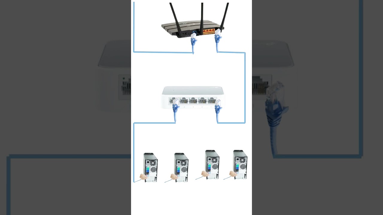 Switch to a Computer LAN Network