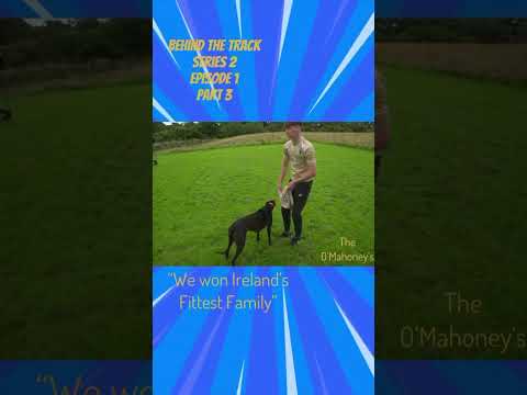 Ireland’s fittest family at home with their racing greyhounds #greyhoundracing #greyhound #dogshort
