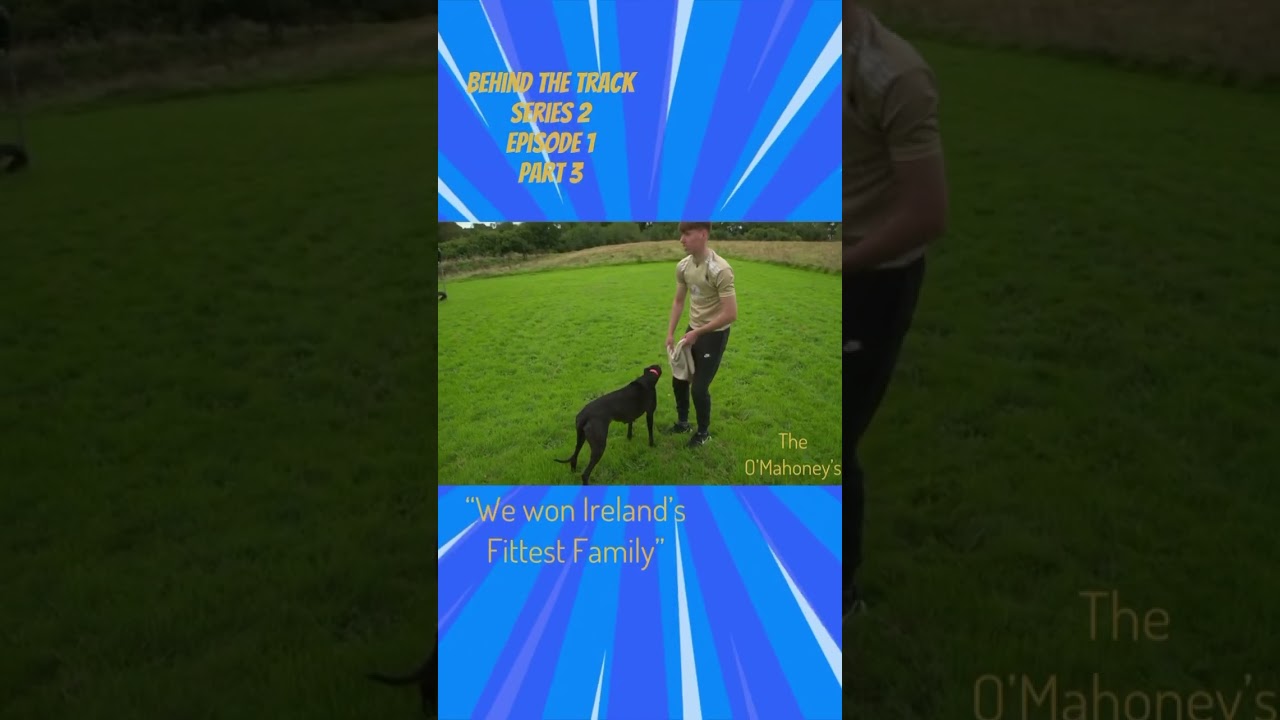 Ireland’s Fittest Family Showcases Their Racing Greyhounds 🐕