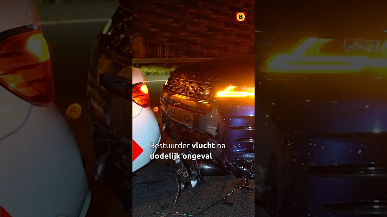 Zoektocht na dodelijk ongeval in Brabant 🚓