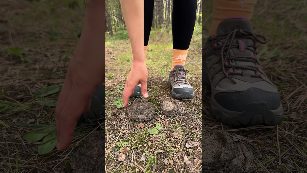 Amazing Camping Hack: Girl Uses Cow Poop for Survival! 🐄💩