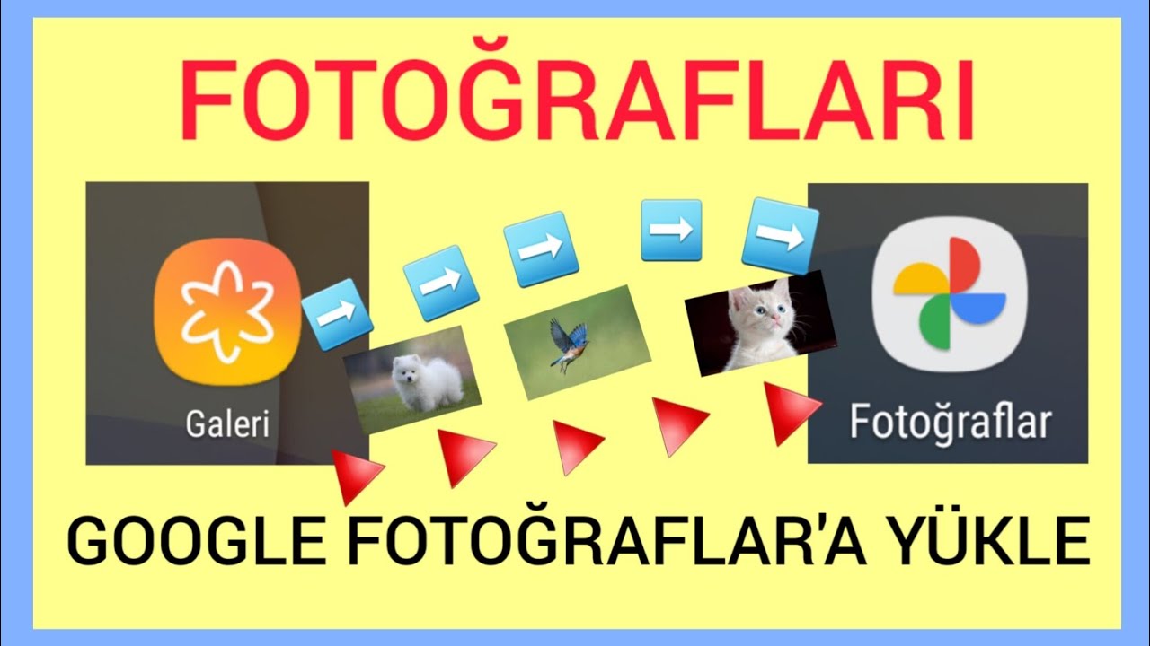 Google Fotoğraflara Fotoğraf Yedekleme ve Galeri Temizliği
