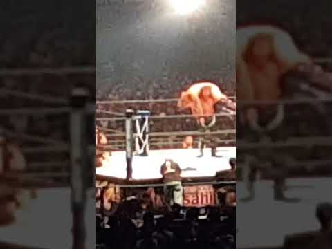 Chris Jericho's Codebreaker