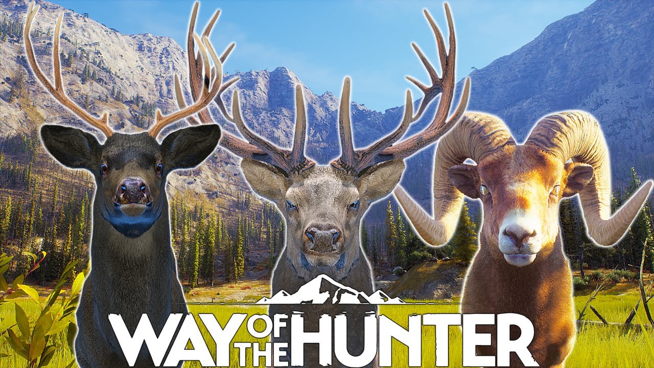 Five Stars & Melanistic in Nez Perce Valley 🎯