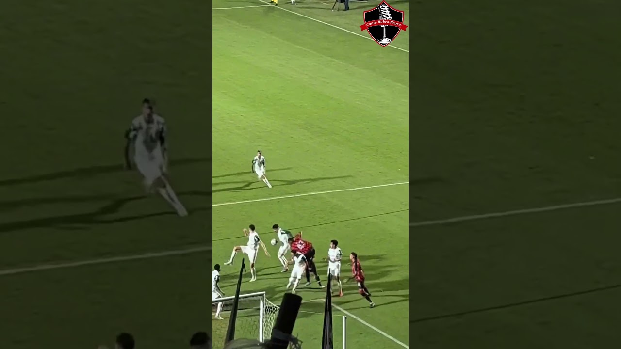 Lance Polêmico: Pênalti ou Não em Vitória x Palmeiras?