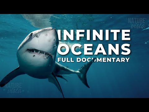 INFINITE OCEANS | A Journey Through the World's Oceans - Full Documentary