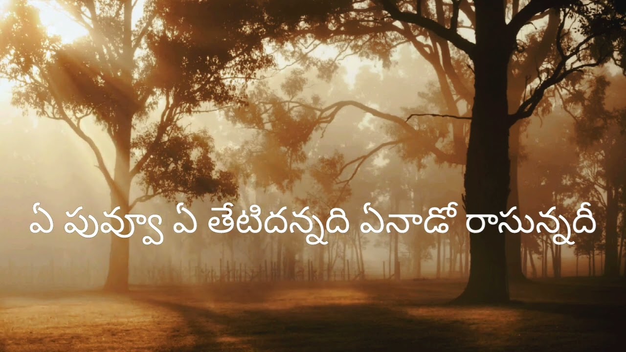 Akasam Enatido Telugu Song Lyrics 🎶