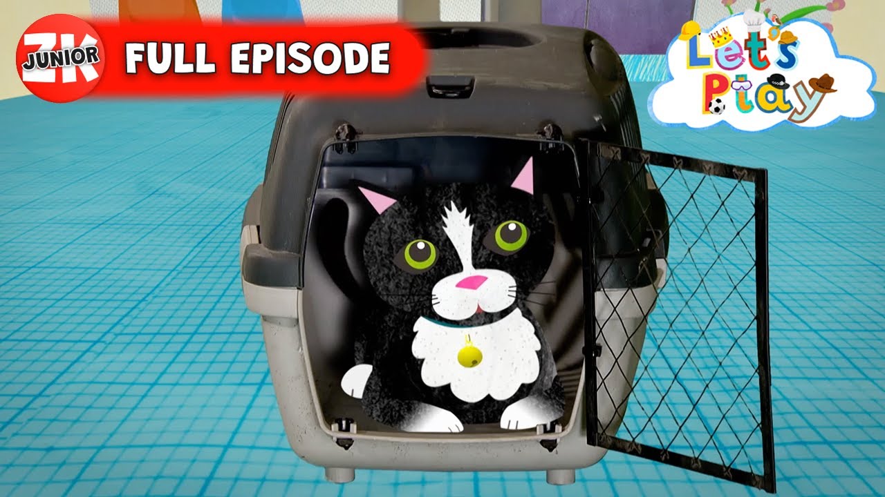 Let's Play: Veterinarian | Full Episode 🐾
