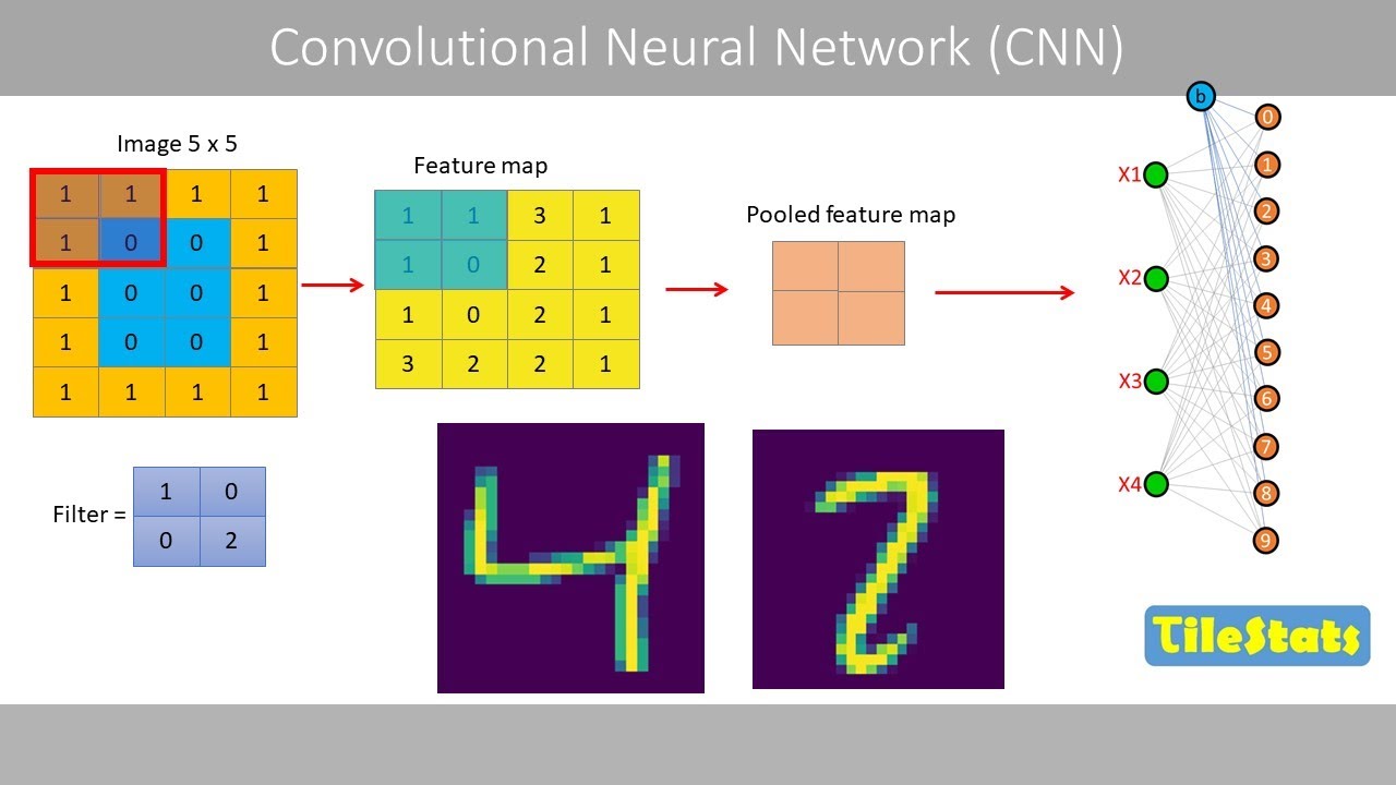 Convolutional Neural Network (CNN) – Simplified Explanation