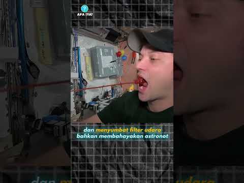 INI CARANYA AGAR MAKANAN ASTRONOT JADI ENAK!