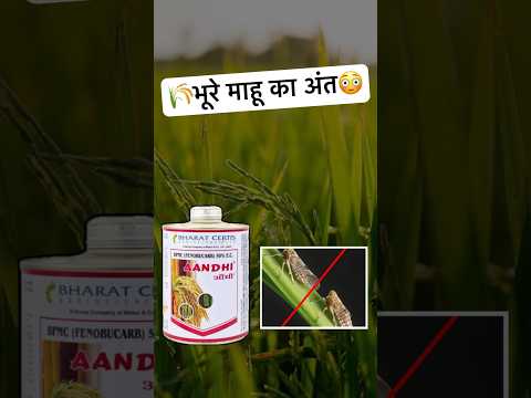 Agriculture Farming - Ranjeet