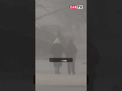 актуальное ЧИТА В ЛИДЕРАХ 5 февраля 2025