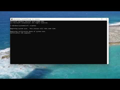 Can't Open PDF Files On Windows 11 - Quick Fix