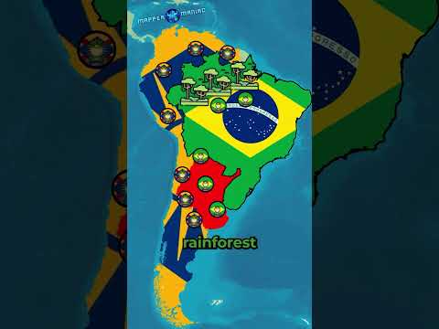 What if Brazil tried to take over South America?