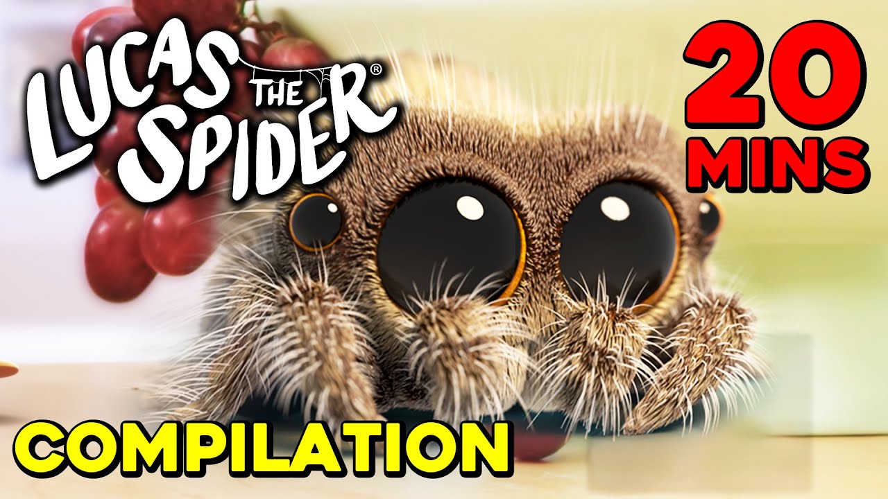 20 Enjoy 20 Minutes of Cute Lucas the Spider Episodes 🕷️