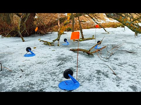 Это озеро кишит щукой. Рыбалка на жерлицы