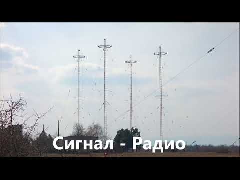 Сигнал - Радио