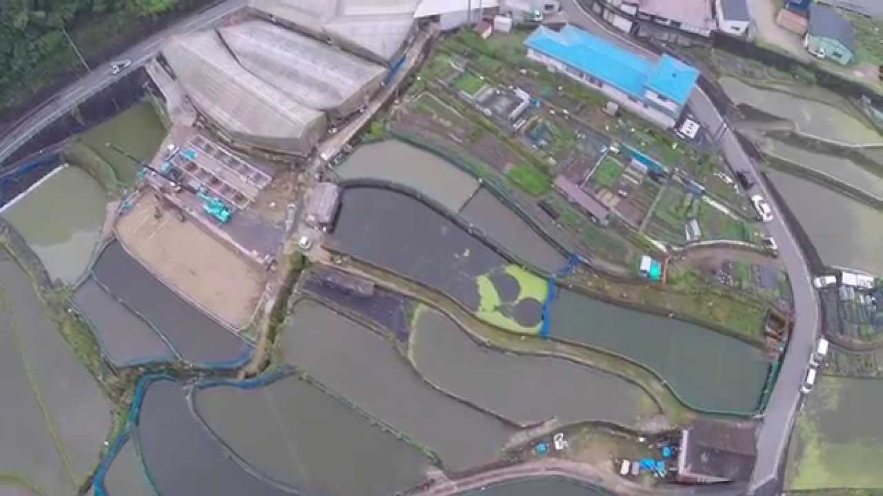 Koi Farm Drone Crash in Japan 🇯🇵