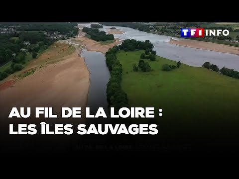 Au fil de la Loire : les îles sauvages