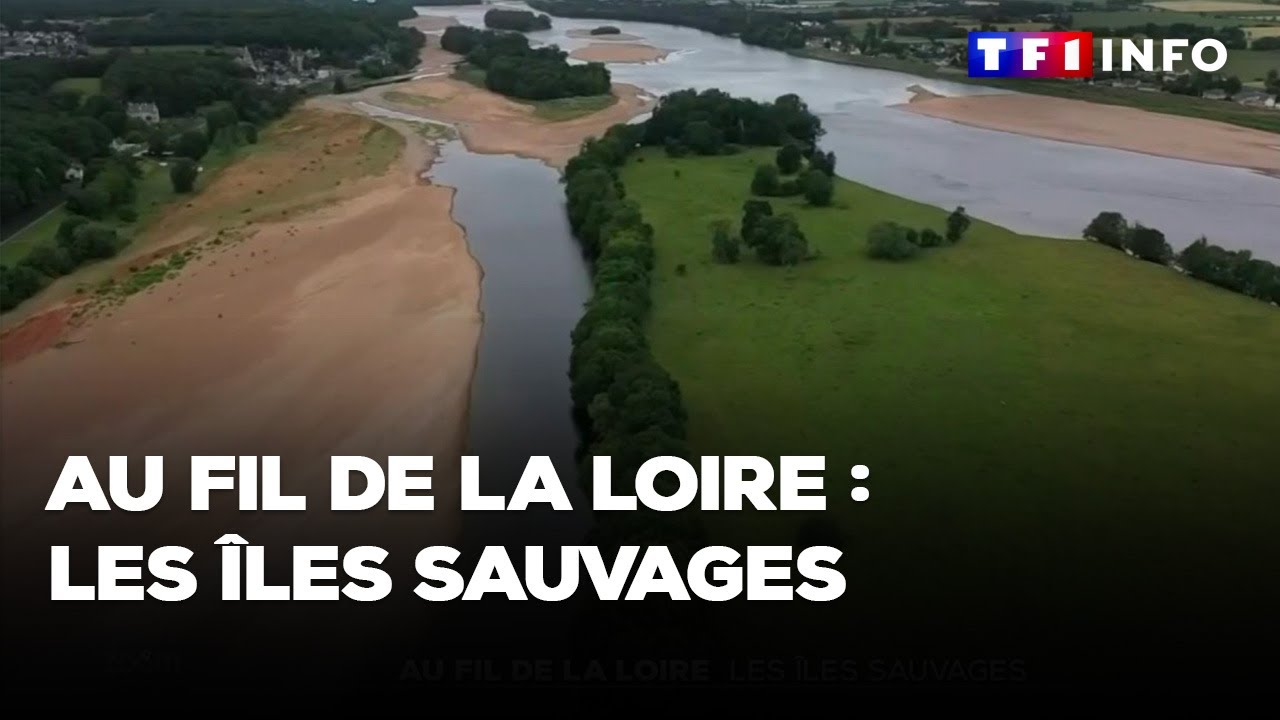 Au fil de la Loire : exploration des îles sauvages