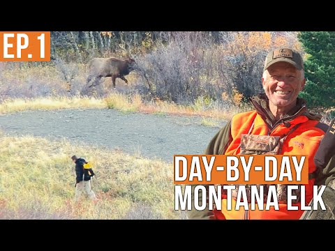 YOU Won't Believe What We Saw.... | Montana Elk (EP.1)