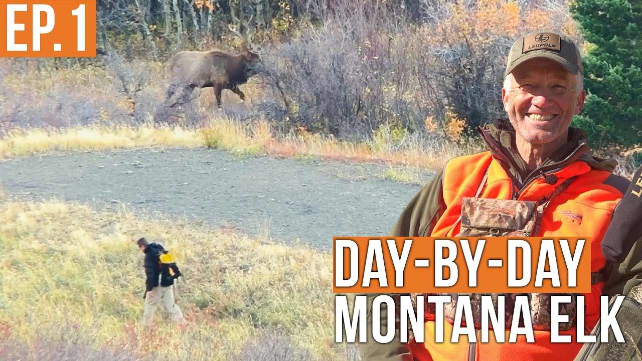 Montana Elk Hunt: Randy’s Epic Return to the Spot of His Biggest Bull 🦌